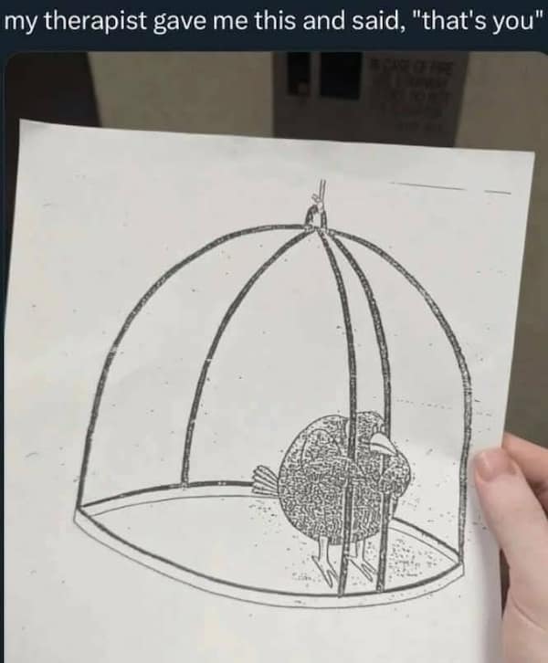 depressing memes, bittersweet memes, sad memes, bleak memes, dark memes, dark humor memes, cynical jokes, existential laughs, fatalistic memes, existential memes, nihilist memes, absurd memes, void jokes, bleak humor, hopeless memes, gloom jokes, despair memes