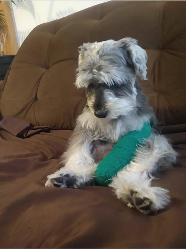 depressing memes, bittersweet memes, sad memes, bleak memes, dark memes, dark humor memes, cynical jokes, existential laughs, fatalistic memes, existential memes, nihilist memes, absurd memes, void jokes, bleak humor, hopeless memes, gloom jokes, despair memes