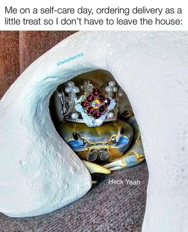 depressing memes, bittersweet memes, sad memes, bleak memes, dark memes, dark humor memes, cynical jokes, existential laughs, fatalistic memes, existential memes, nihilist memes, absurd memes, void jokes, bleak humor, hopeless memes, gloom jokes, despair memes