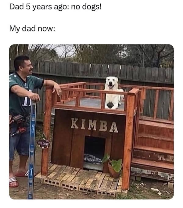 dog memes, funny dog memes, puppy memes, canine memes, funny dogs, cute dog memes, dog humor, pet memes, hilarious dogs, dog photos, dog lover memes, puppy humor, relatable dog memes