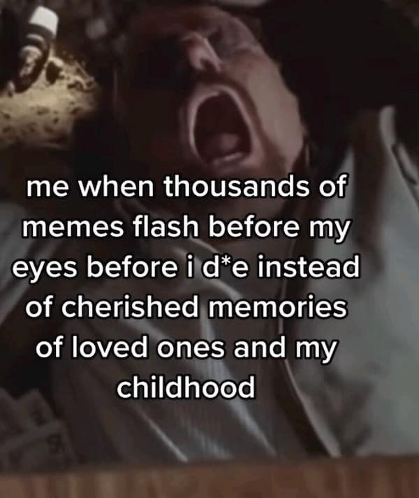 me when thousands of memes flash before my eyes before i d*e instead of cherished memories of loved ones and my childhood