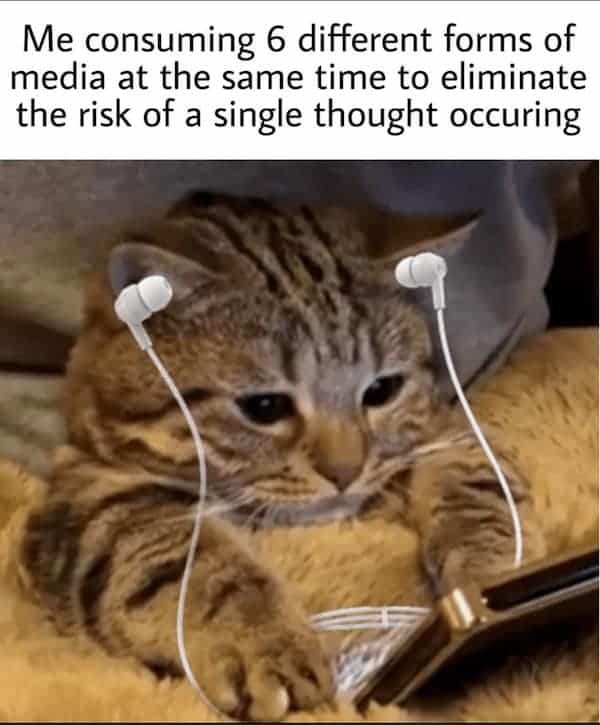 Me consuming 6 different forms of media at the same time to eliminate the risk of a single thought occuring