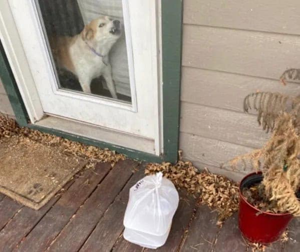 DoorDash memes, funny doordash texts, delivery memes, food delivery memes, courier jokes, delivery driver memes, dasher memes, order tracking jokes, GPS humor, takeout memes, fast food memes, restaurant delivery jokes, snack memes, meal delivery humor, dinner app memes, food courier laughs, late-night cravings jokes