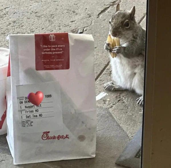 DoorDash memes, funny doordash texts, delivery memes, food delivery memes, courier jokes, delivery driver memes, dasher memes, order tracking jokes, GPS humor, takeout memes, fast food memes, restaurant delivery jokes, snack memes, meal delivery humor, dinner app memes, food courier laughs, late-night cravings jokes