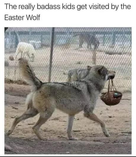 easter memes, easter 2025, holiday memes, bunny memes, jesus memes, funny easter, easter jokes, egg hunt humor, easter bunny memes, chocolate memes, candy jokes