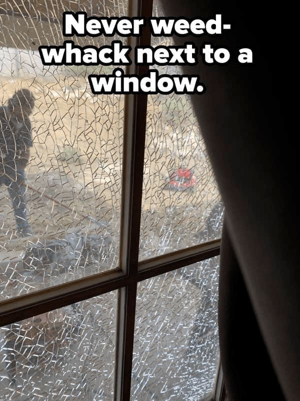Never weed-whack next to a window.