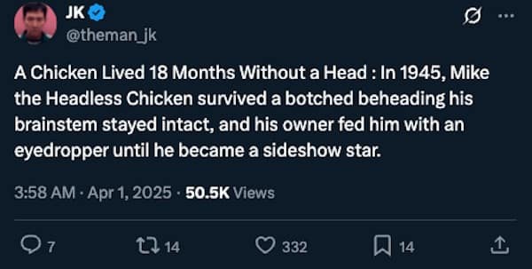 A Chicken Lived 18 Months Without a Head: In 1945, Mike the Headless Chicken survived a botched beheading his brainstem stayed intact, and his owner fed him with an eyedropper until he became a sideshow star.