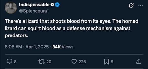 There's a lizard that shoots blood from its eyes. The horned lizard can squirt blood as a defense mechanism against predators.