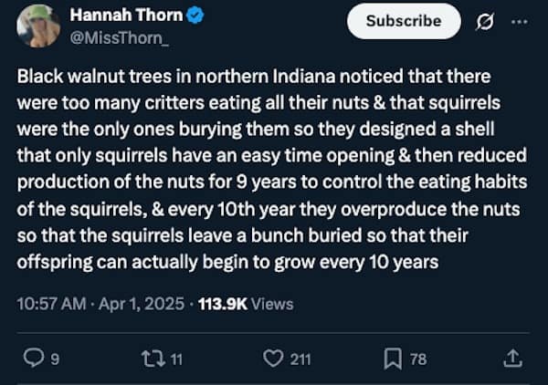 Black walnut trees in northern Indiana noticed that there were too many critters eating all their nuts & that squirrels were the only ones burying them so they designed a shell that only squirrels have an easy time opening & then reduced production of the nuts for 9 years to control the eating habits of the squirrels, & every 10th year they overproduce the nuts so that the squirrels leave a bunch buried so that their offspring can actually begin to grow every 10 years