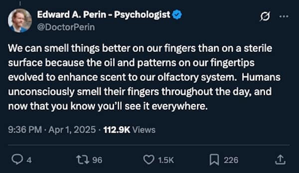 We can smell things better on our fingers than on a sterile surface because the oil and patterns on our fingertips evolved to enhance scent to our olfactory system. Humans unconsciously smell their fingers throughout the day, and now that you know you'll see it everywhere.