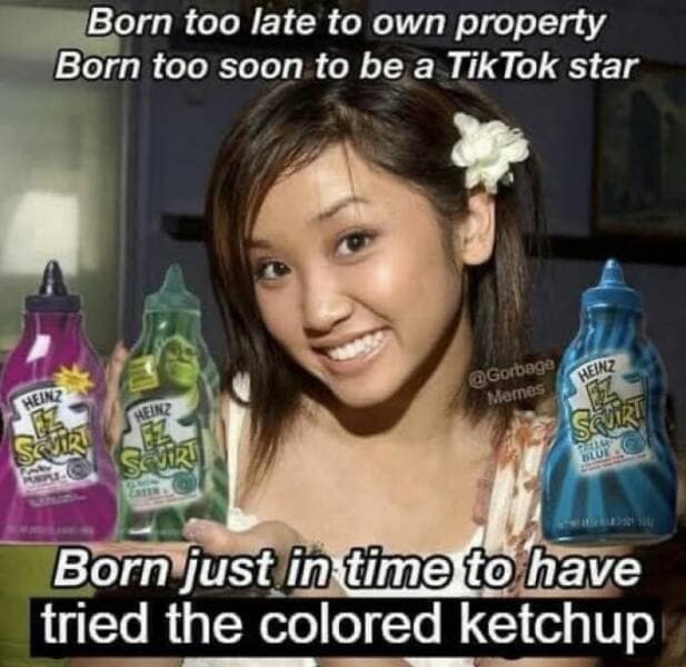 Born too late to own property Born too soon to be a TikTok star HEINZ @Gorbage Meres HEINZ HEINZ Born just in time to have tried the colored ketchup