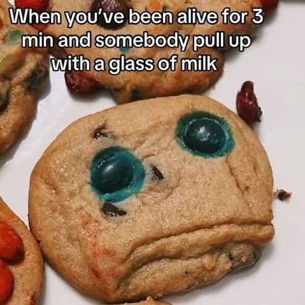 food memes, cursed food, cooking memes, culinary memes, kitchen jokes, cooking memes, culinary memes, kitchen jokes, fast food memes, junk food jokes, drive‑thru humor, funny food jokes, meal mishaps, dinner disasters