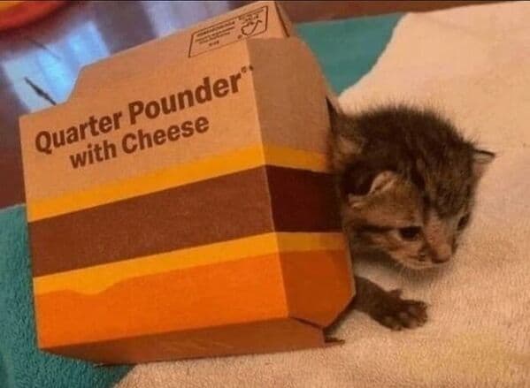 food memes, cursed food, cooking memes, culinary memes, kitchen jokes, cooking memes, culinary memes, kitchen jokes, fast food memes, junk food jokes, drive‑thru humor, funny food jokes, meal mishaps, dinner disasters