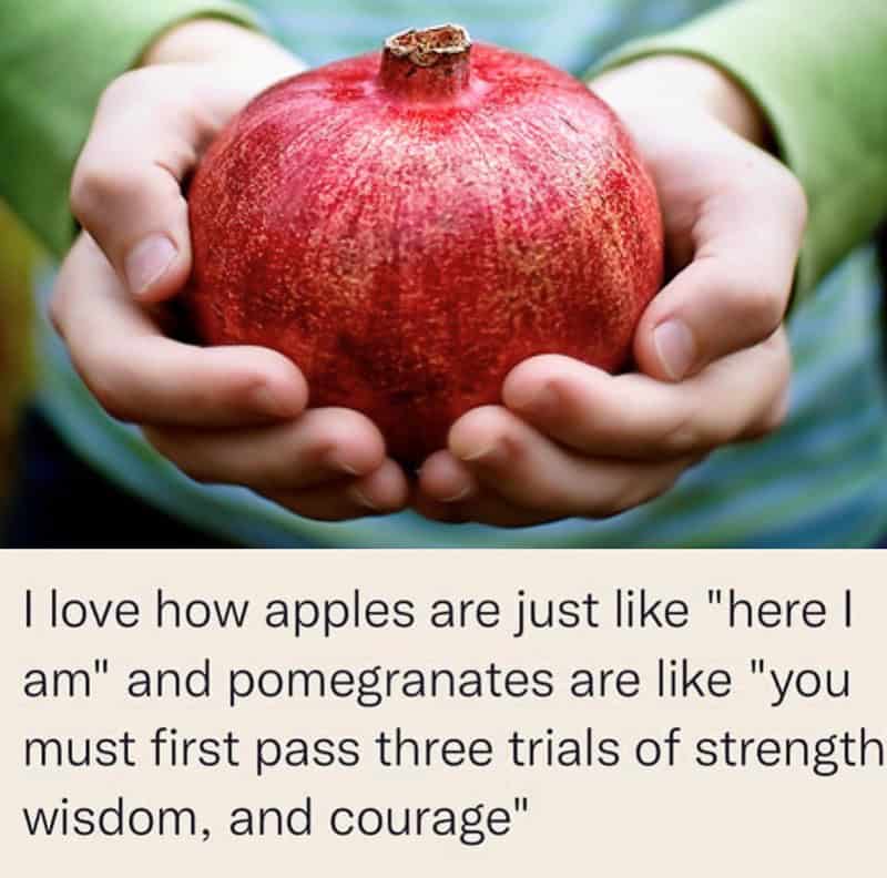 fruit memes, banana memes, apple memes, watermelon memes, fruity memes