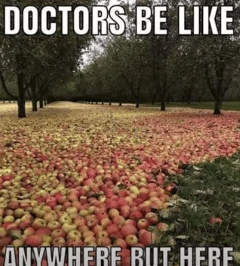 fruit memes, banana memes, apple memes, watermelon memes, fruity memes