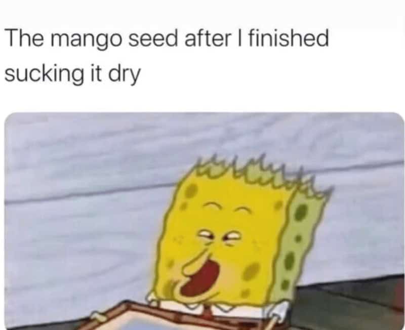 fruit memes, banana memes, apple memes, watermelon memes, fruity memes