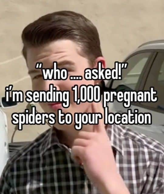 funny tiktok, funny tiktok screenshots, funnt tiktoks, hilarious TikTok, comedic TikTok, TikTok laughs, viral TikTok, trending TikTok, popular TikTok clips, TikTok trends, challenge trends, dance trends, social media memes, video memes, scroll humor