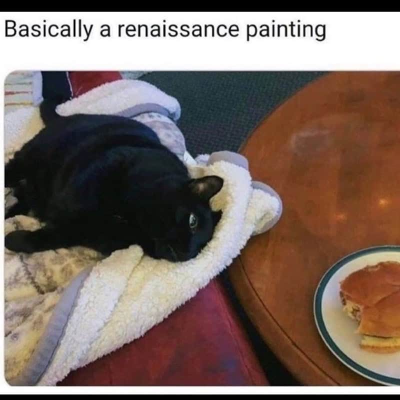 funny animal memes, animal memes, pet memes, cute animal memes, dog memes, cat memes, wildlife memes, critter memes, animal humor, creature jokes, furry memes, zoo memes, adorable memes, animal reactions, animal pics, pet humor