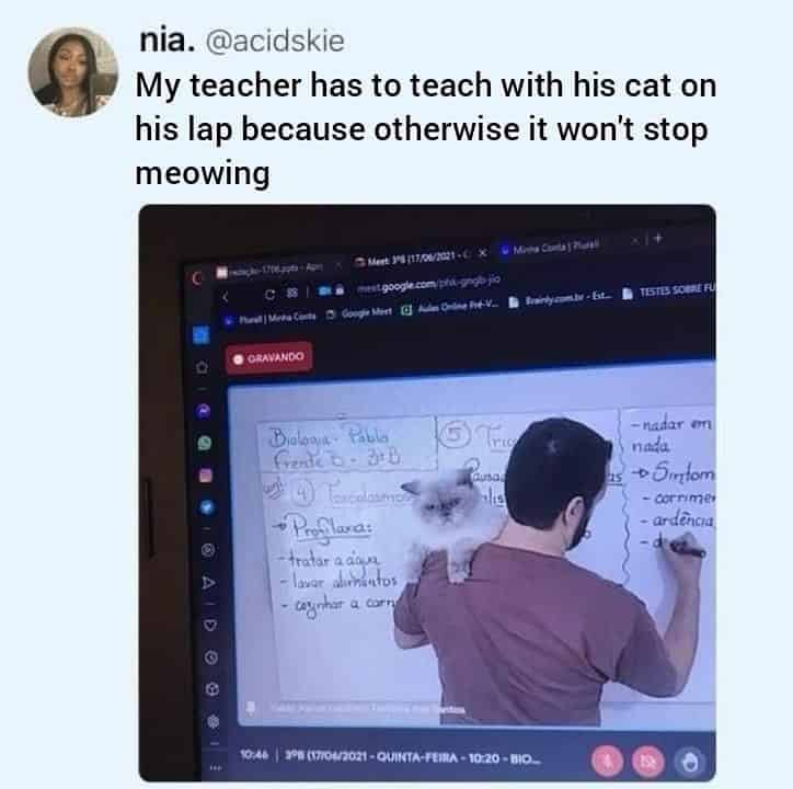 funny animal memes, animal memes, pet memes, cute animal memes, dog memes, cat memes, wildlife memes, critter memes, animal humor, creature jokes, furry memes, zoo memes, adorable memes, animal reactions, animal pics, pet humor