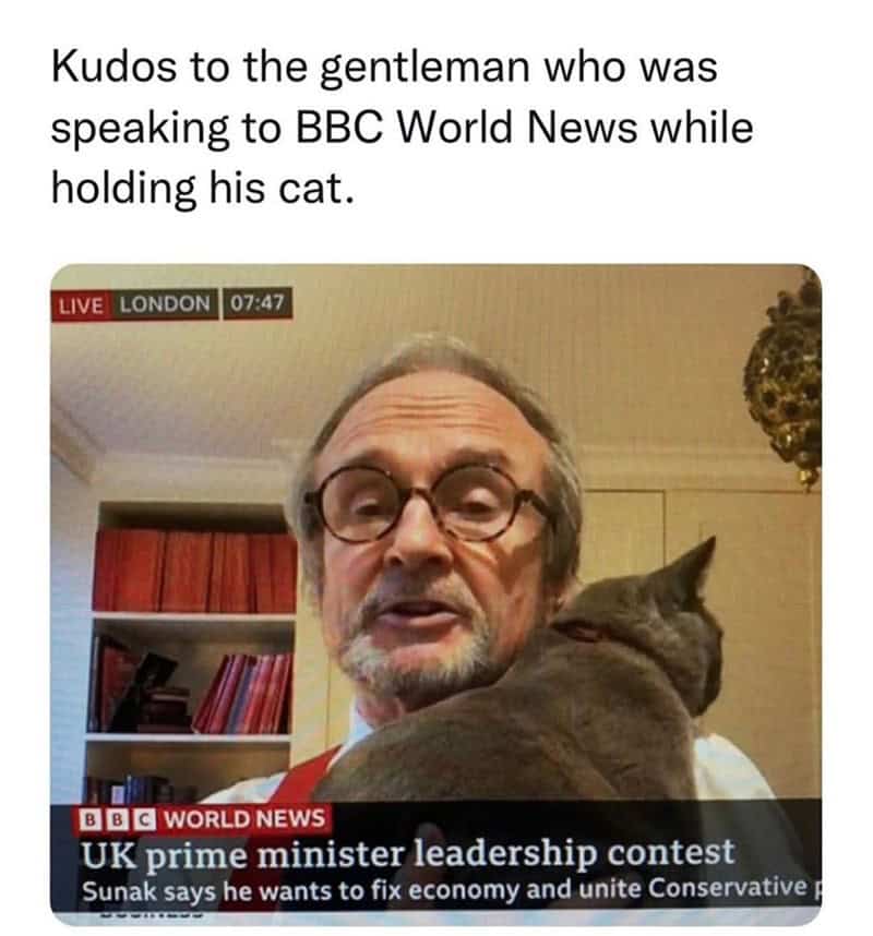 funny animal memes, animal memes, pet memes, cute animal memes, dog memes, cat memes, wildlife memes, critter memes, animal humor, creature jokes, furry memes, zoo memes, adorable memes, animal reactions, animal pics, pet humor