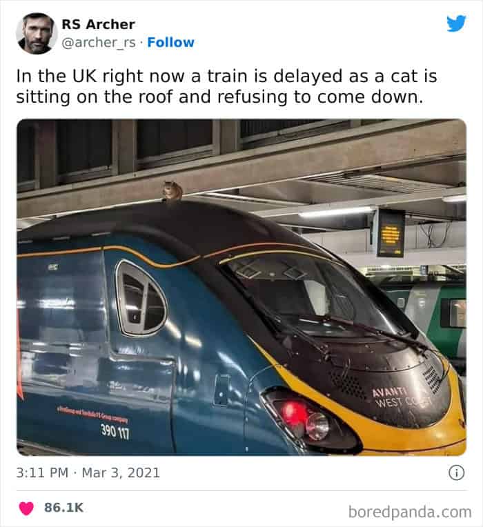 funny animal memes, animal memes, pet memes, cute animal memes, dog memes, cat memes, wildlife memes, critter memes, animal humor, creature jokes, furry memes, zoo memes, adorable memes, animal reactions, animal pics, pet humor