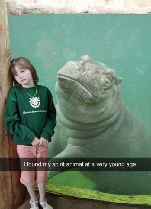 funny animal snapchats, silly animal snapchats, hilarious animal snapchats, witty animal snapchats, pet memes, animal memes, four-legged memes, funny pet snaps, hilarious pet pics, comedic pet photos, hilarious animal pictures, amusing animal photos, entertaining animal images