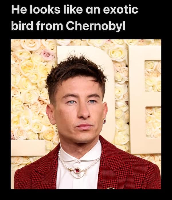 funny insults, savage roasts, savage insults, witty comebacks, clever roasts, brutal roasts, epic burns, hilarious clapbacks, comeback memes, roast memes, insult jokes, snarky humor, sarcastic memes, witty memes, roasting humor, burn jokes