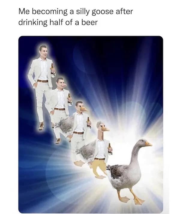 Me becoming a silly goose after drinking half of a beer
