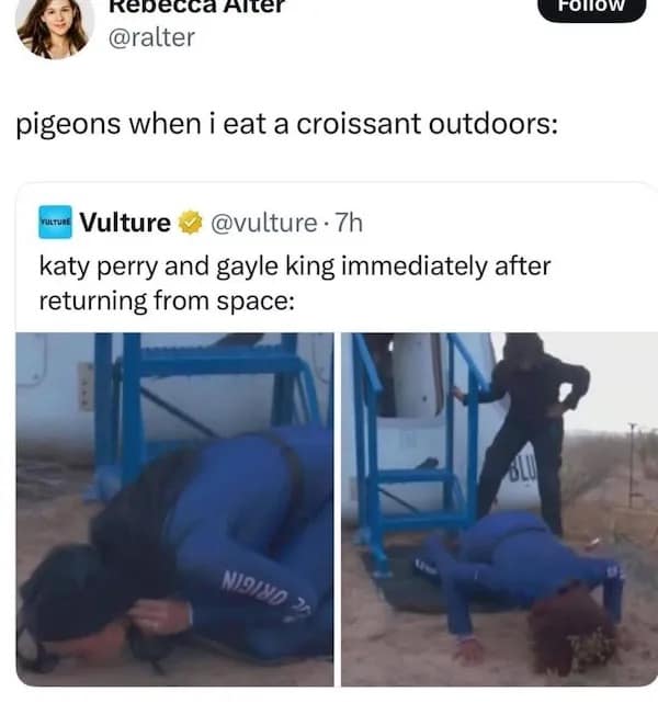 pigeons when i eat a croissant outdoors: