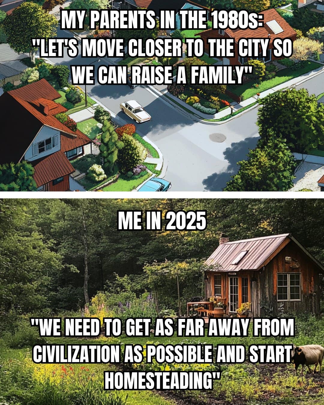 MY PARENTS IN THE 1980S: "LET'S MOVE CLOSER TO THE CITY SO WE CAN RAISE A FAMILY" ME IN 2025 "WE NEED TO GET AS FAR AWAY FROM CIVILIZATION AS POSSIBLE AND START HOMESTEADING"