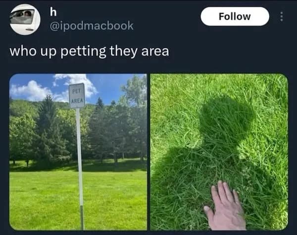 who up petting they area AREN Follow