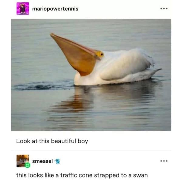 this looks like a traffic cone strapped to a swan