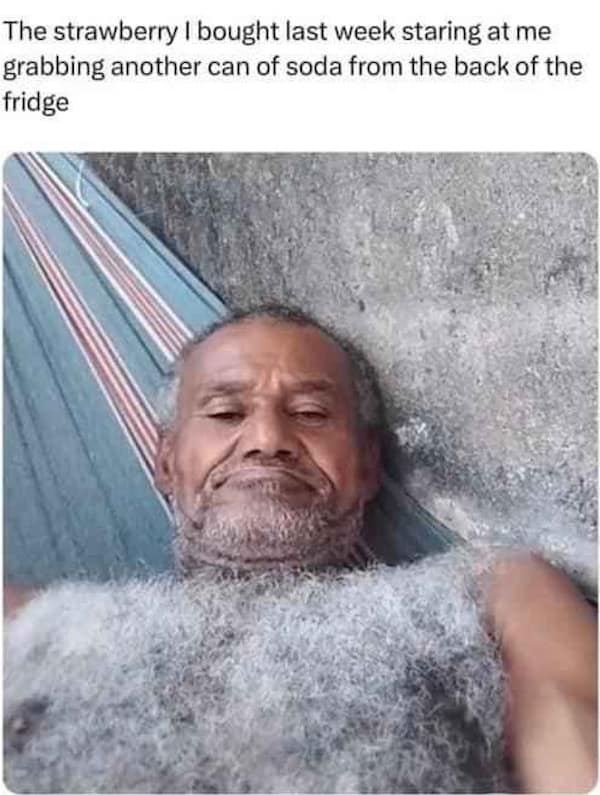 The strawberry I bought last week staring at me grabbing another can of soda from the back of the fridge