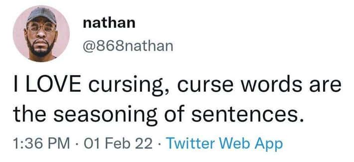 I LOVE cursing, curse words are the seasoning of sentences.