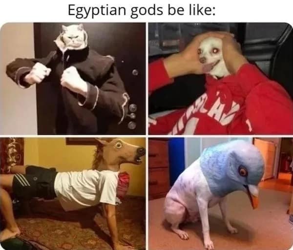 Egyptian gods be like: