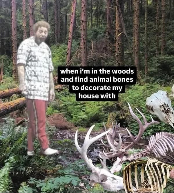 when i'm in the woods and find animal bones to decorate my house with