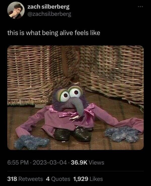 this is what being alive feels like