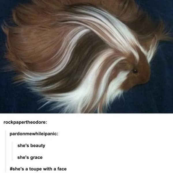 she's beauty she's grace #she's a toupe with a face