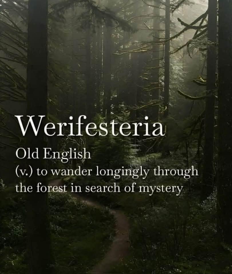 Werifesteria Old English (v.) to wander longingly through the forest in search of mystery