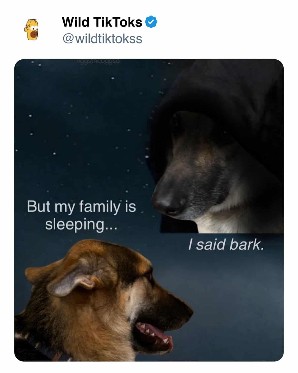 But my family is sleeping... I said bark.