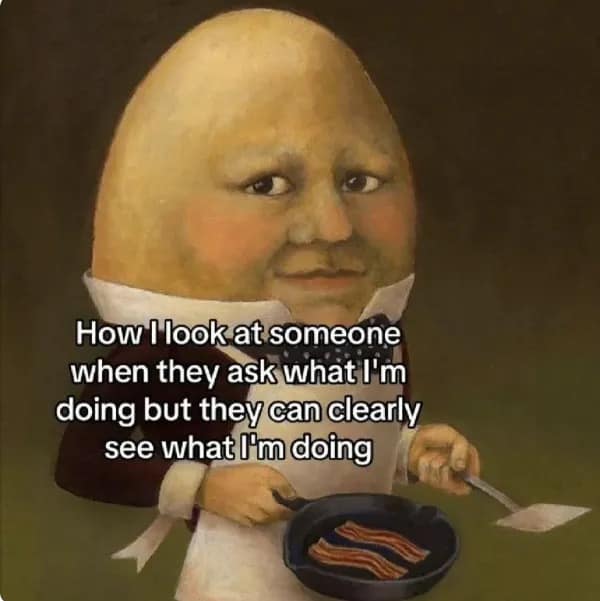 How I look at someone when they ask what I'm doing but they can clearly see what I'm doing