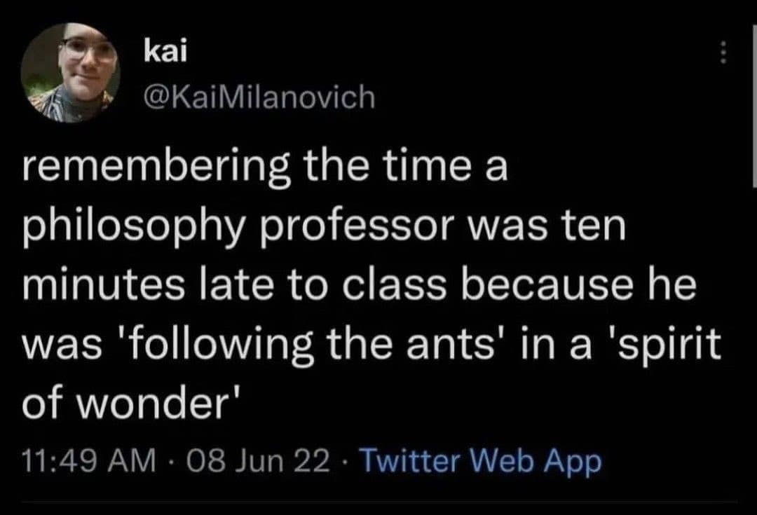 remembering the time a philosophy professor was ten minutes late to class because he was 'following the ants' in a 'spirit of wonder'