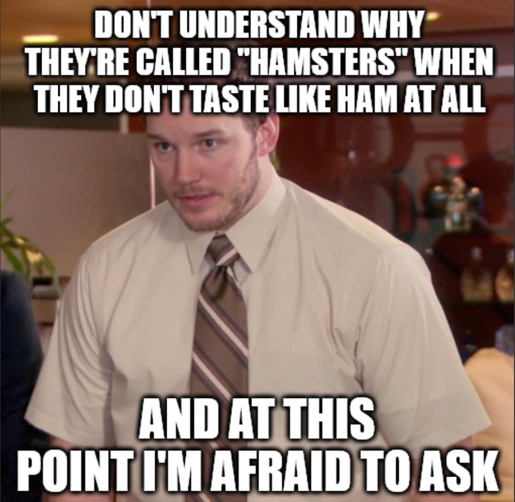 DON'T UNDERSTAND WHY THEY'RE CALLED "HAMSTERS" WHEN THEY DON'T TASTE LIKE HAM AT ALL