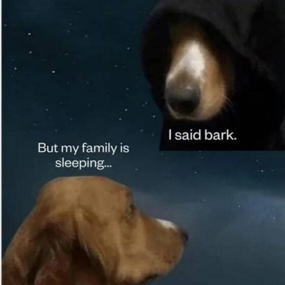 But my family is sleeping... I said bark.
