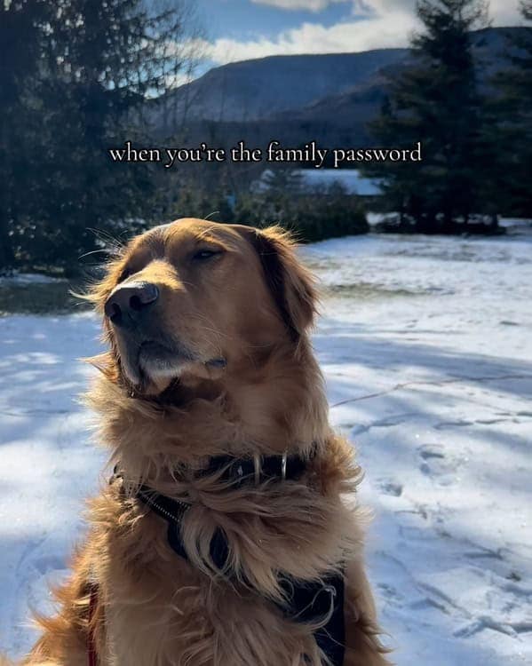 when you're the family password