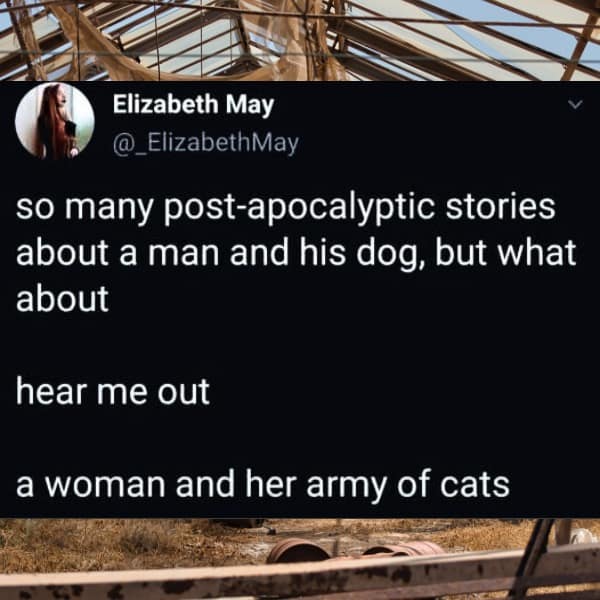 so many post-apocalyptic stories about a man and his dog, but what about hear me out a woman and her army of cats
