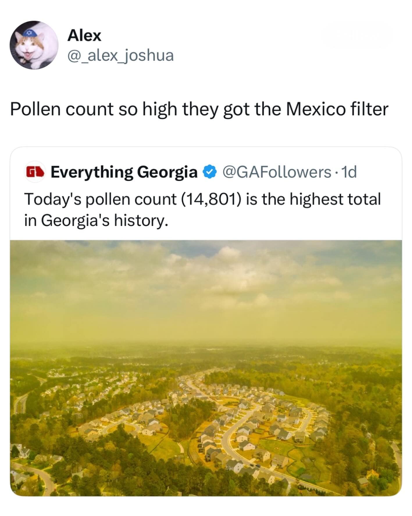 Pollen count so high they got the Mexico filter