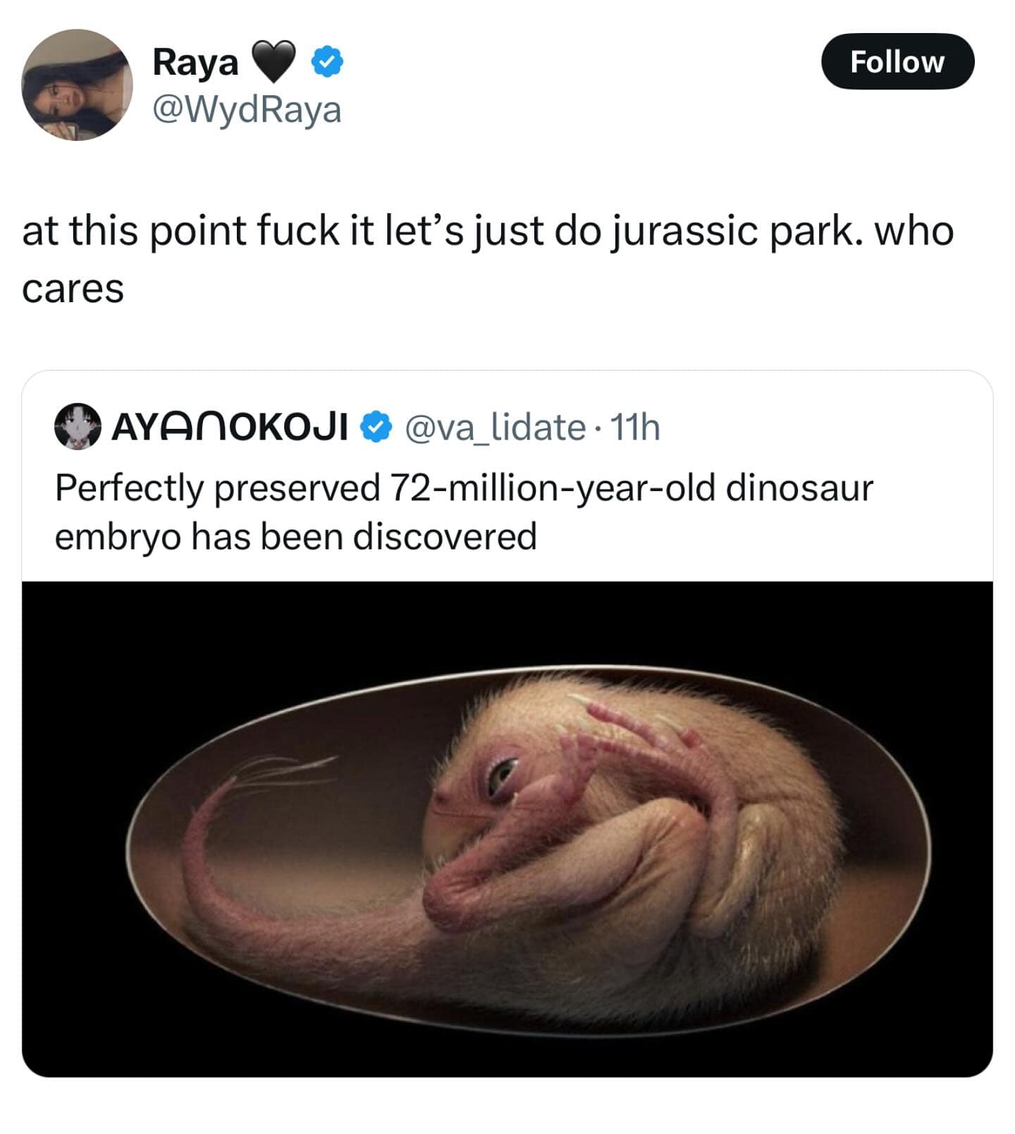 Perfectly preserved 72-million-year-old dinosaur embryo has been discovered