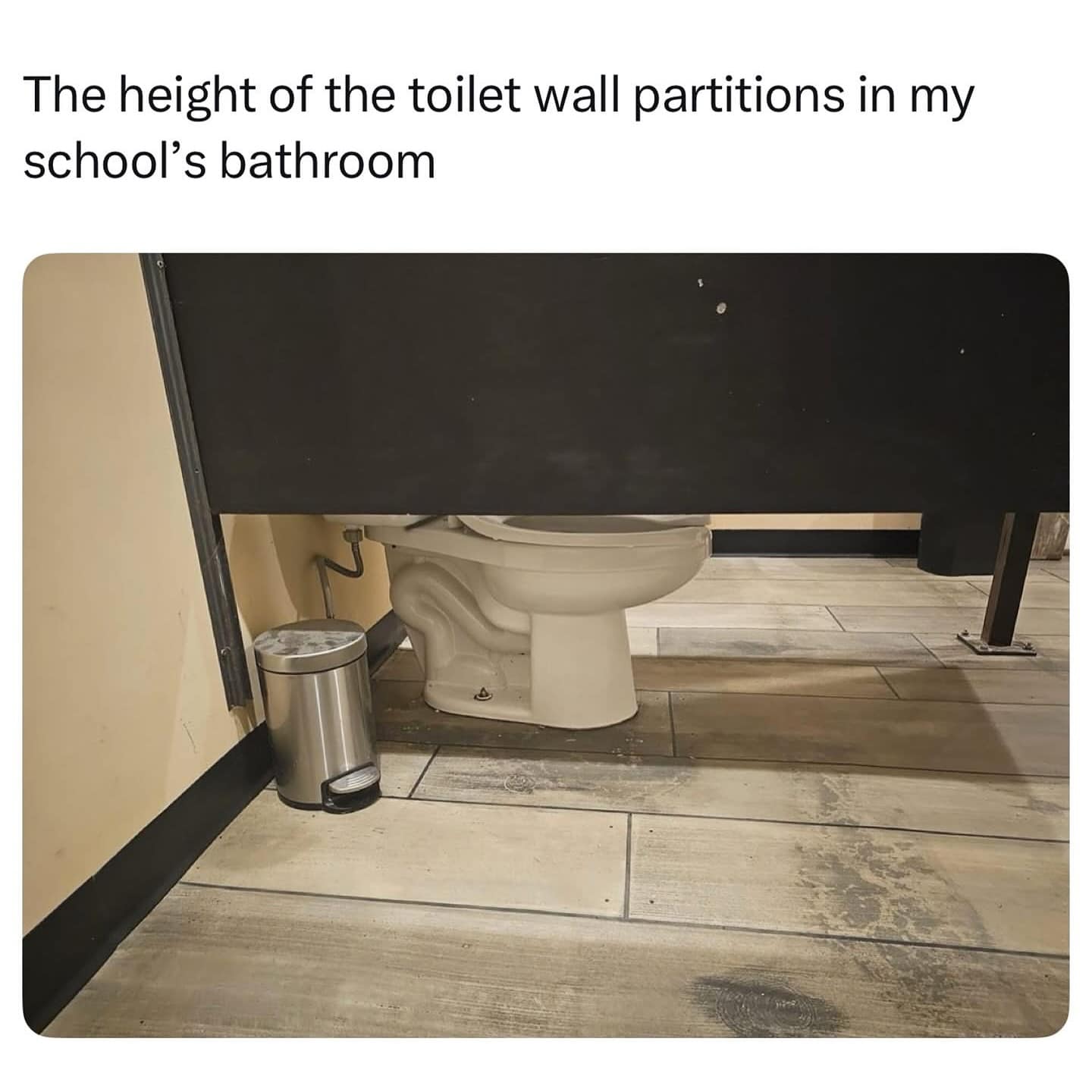 The height of the toilet wall partitions in my school's bathroom