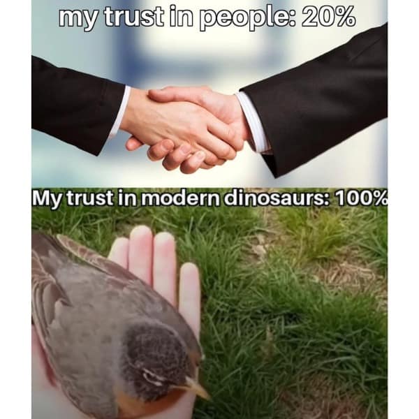 my trust in people: 20% My trust in modern dinosaurs: 100%